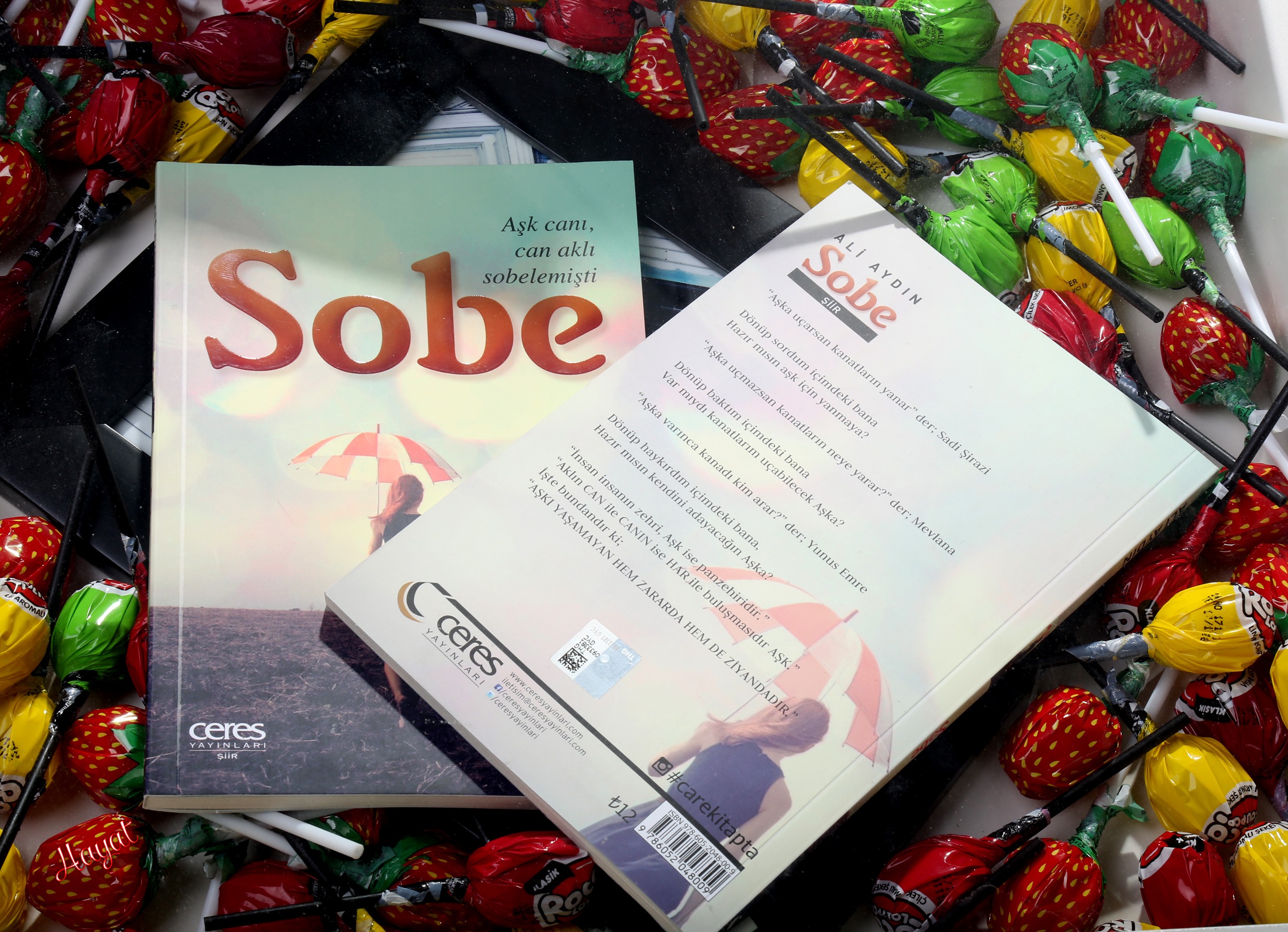 1502869574_ali_ayd__n_sobe Ali Aydın Sobe şiir kitabı