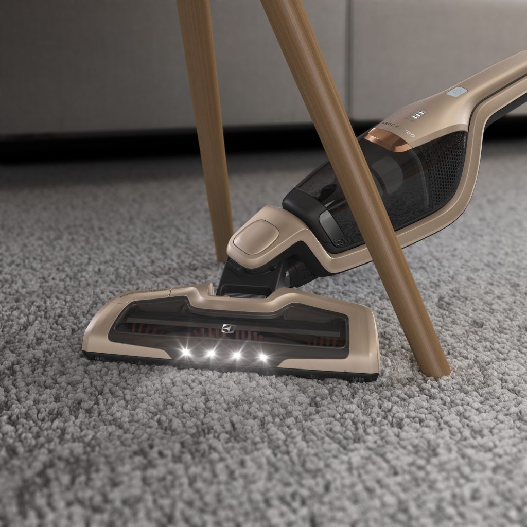 Electrolux Ergorapido