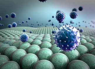 SYNEVO LABORATUVARLARI’NIN DÜZENLEYECEĞİ IMMUNOLJİ, KANSER, OTİZİM KONFERANSINDA BİLİNMEYEN ÖNEMLİ KONULAR İLK KEZ MASAYA YATIRILACAK ‘’Uluslararası İmmunoloji / Otizim /Kanser ‘ konferansı görseli