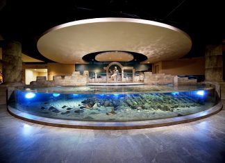 3 gün boyunca İstanbul Akvaryum Öğretmenlere Ücretsiz! İstanbul Akvaryum