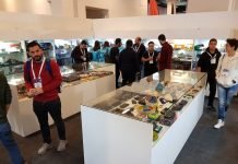 Dijital Oyun Konsolları